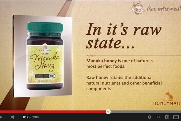  | Honeymark Marketing Video Image Name 