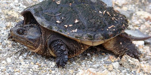  | Skin Care Business Consultants Tell Business Owners to Slow Down Image Name 