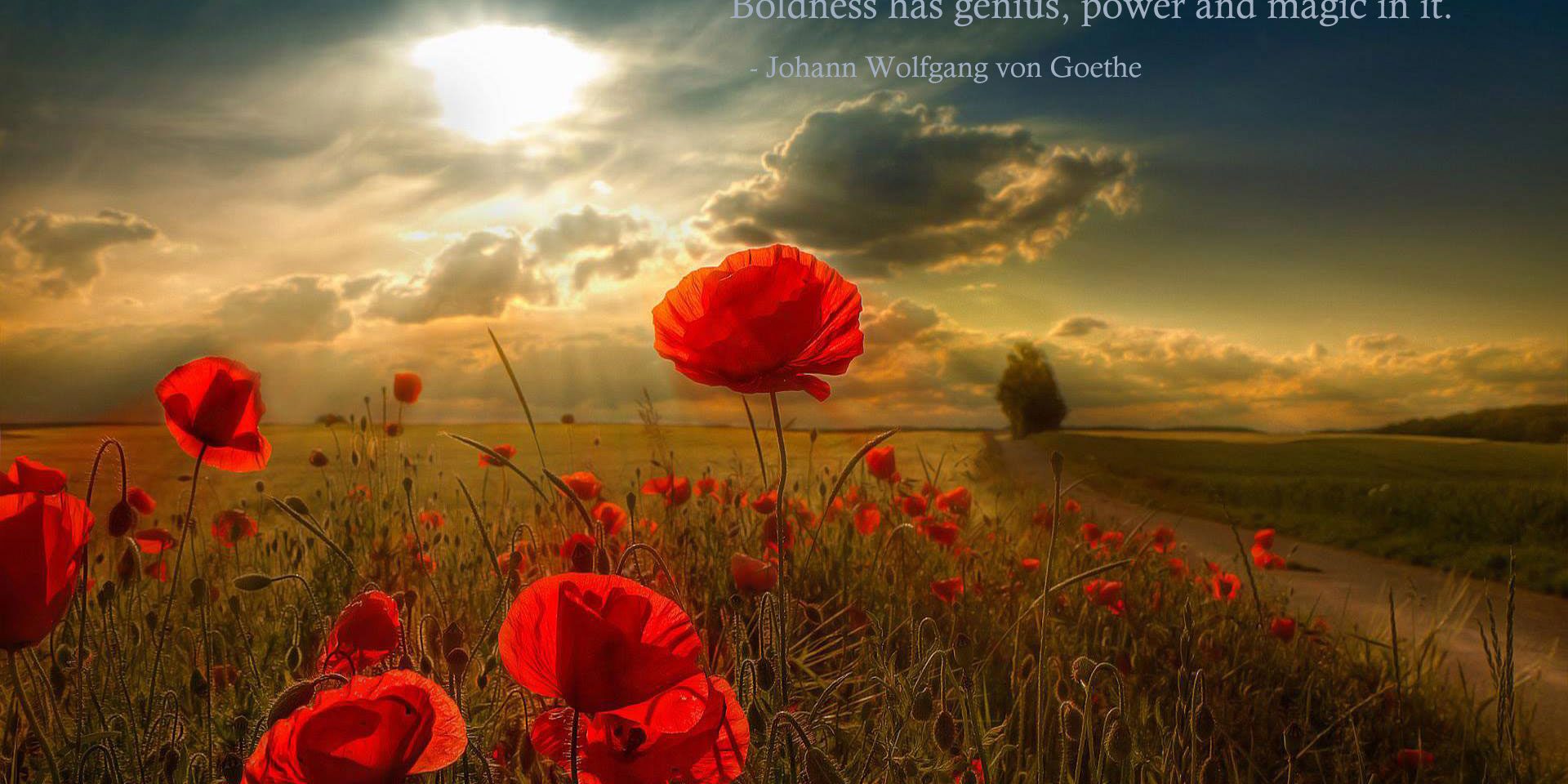 quote7-illumination | Success Quotes Inspire People Especially In Business Image Name