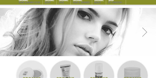  | 10 Methods To Improve A Skin Care E-commerce Website Image Name 