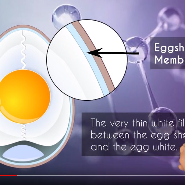 Genovo Skincare Video