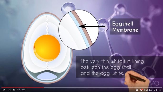 Genovo Skincare Video