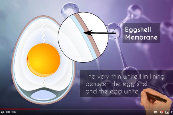 Genovo Skincare Video