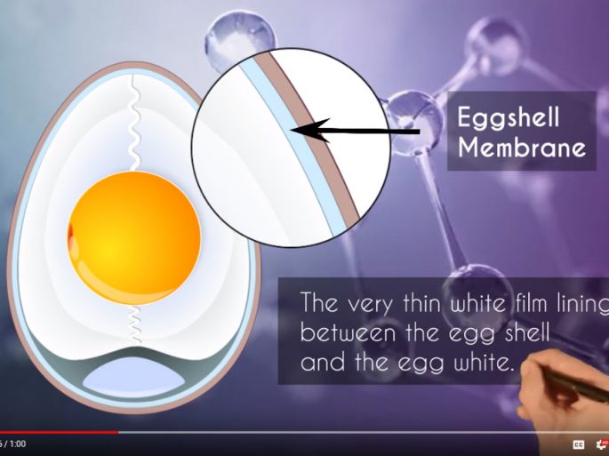 Genovo Skincare Video