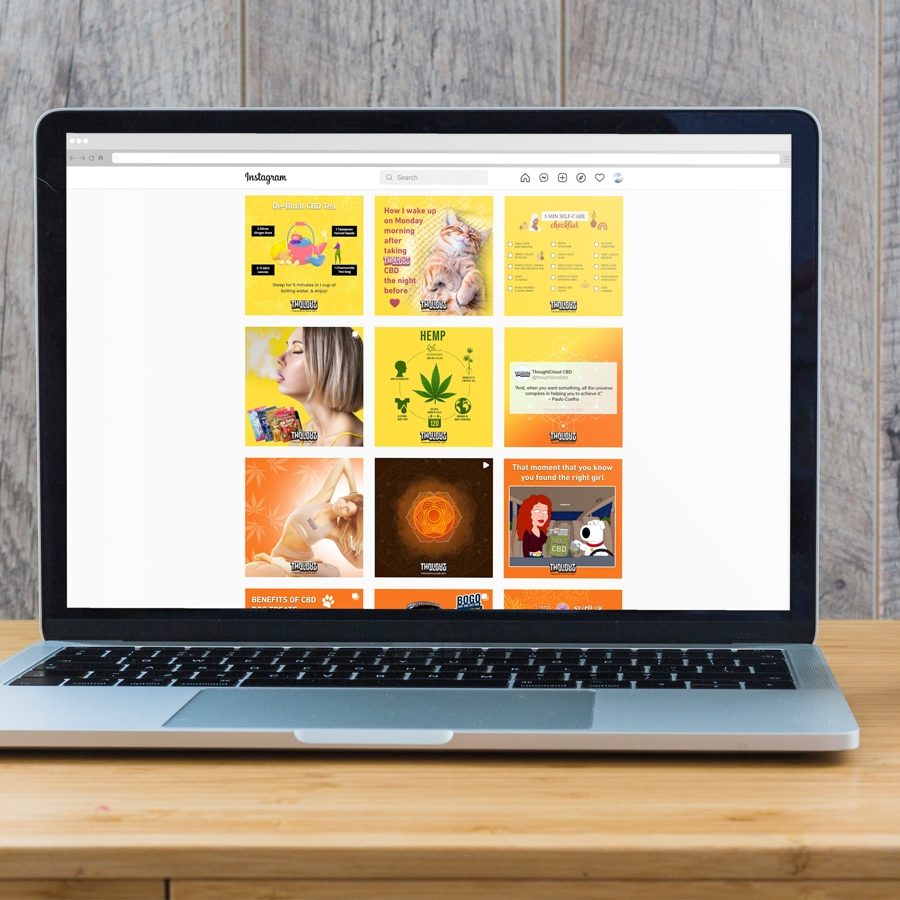 | ThoughtCloud CBD Social Media Management Image Name | ThoughtCloud CBD Social Media Management Image Name