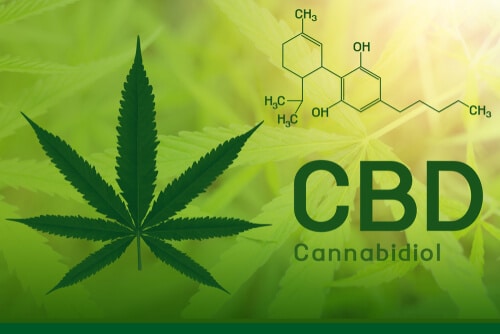 CBD-Business-Success