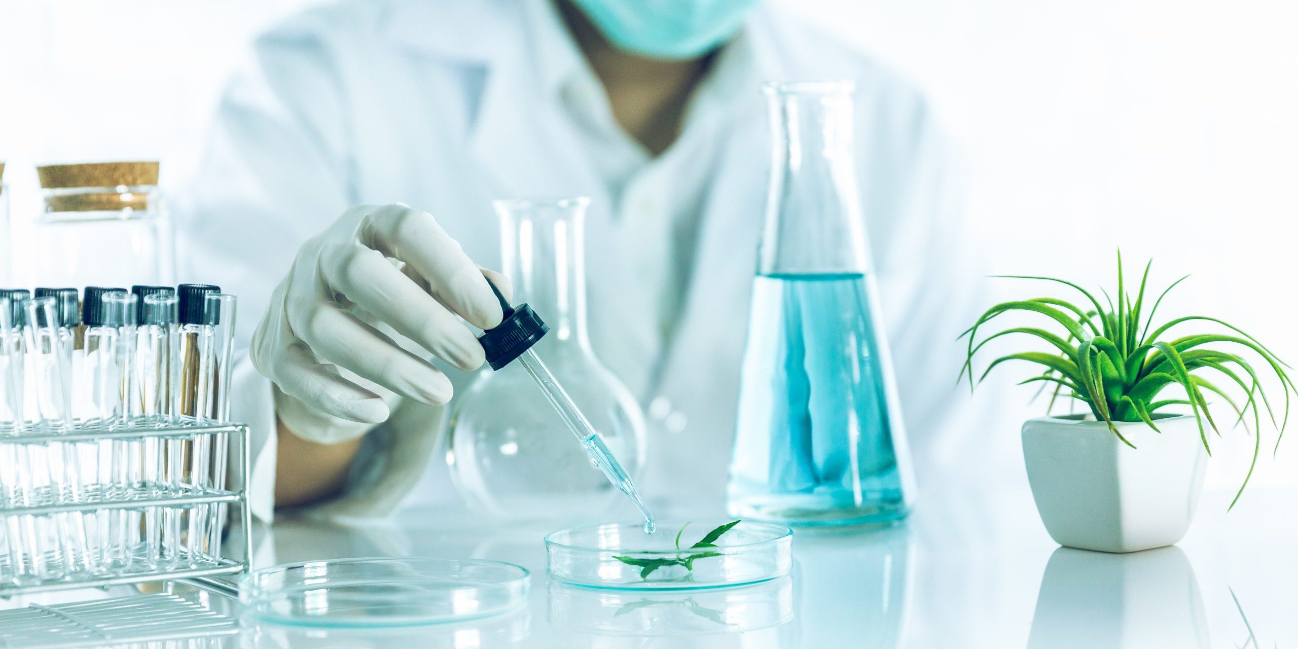 Comprehensive Guide to Skincare Product Development