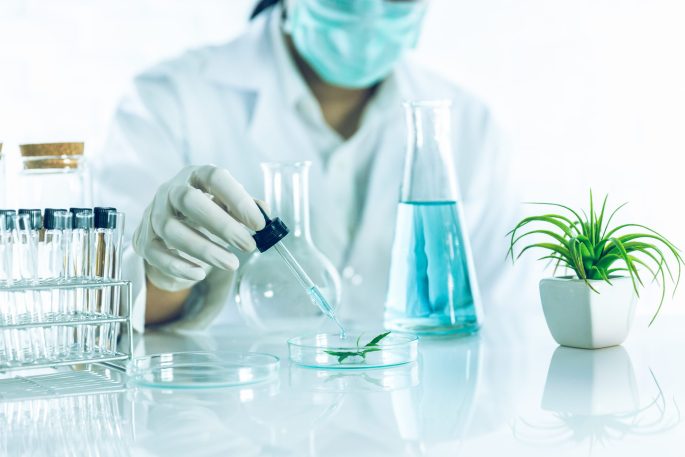 Comprehensive Guide to Skincare Product Development