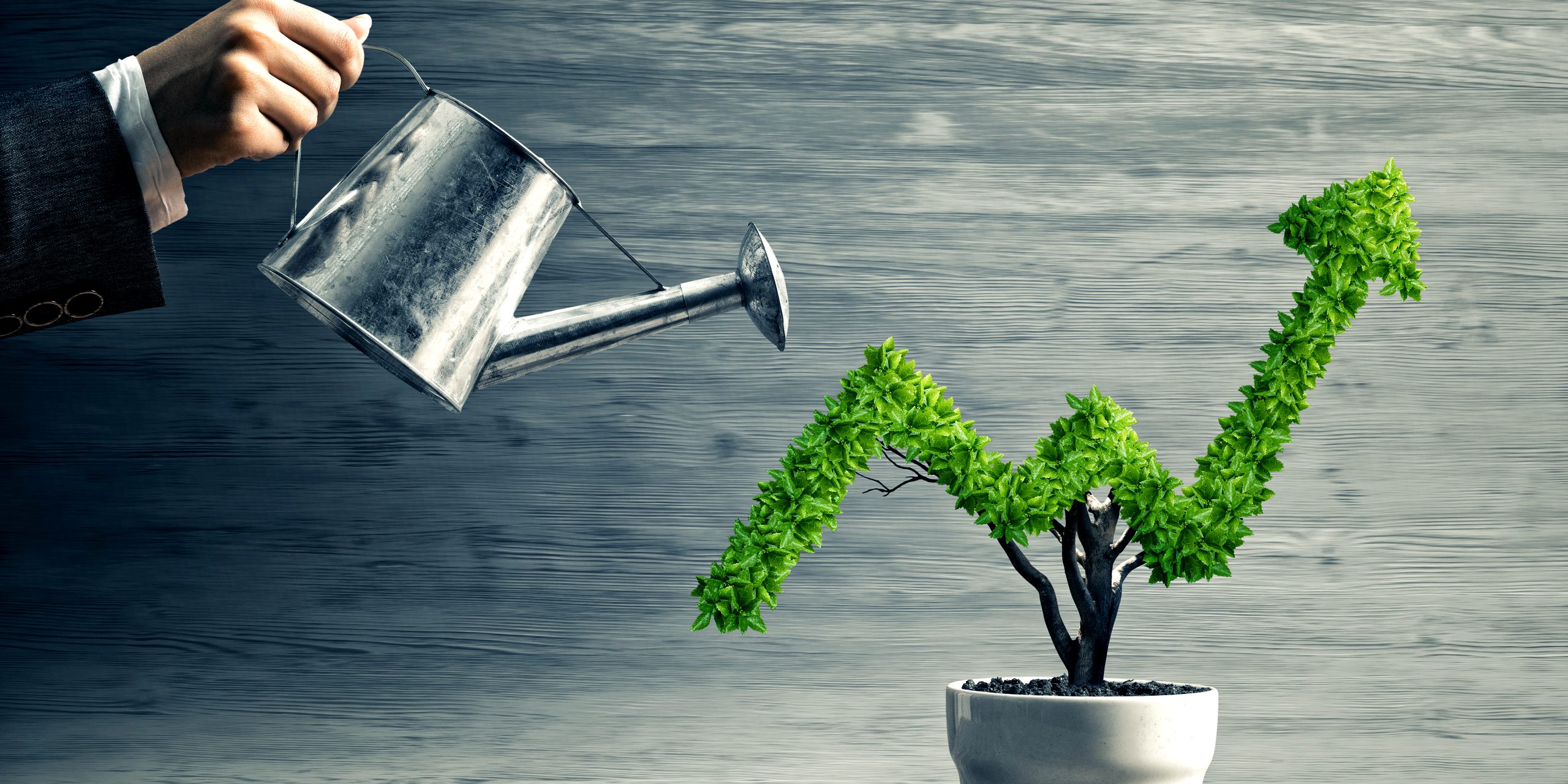 Maximizing Business Success with Business Consultants