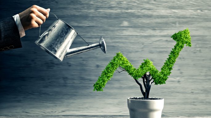 Maximizing Business Success with Business Consultants