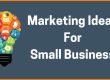 Marketing Services for Small Businesses That Work