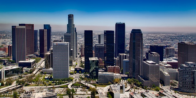 Start a Business in Los Angeles with Consultants: The Smartest Way to Launch