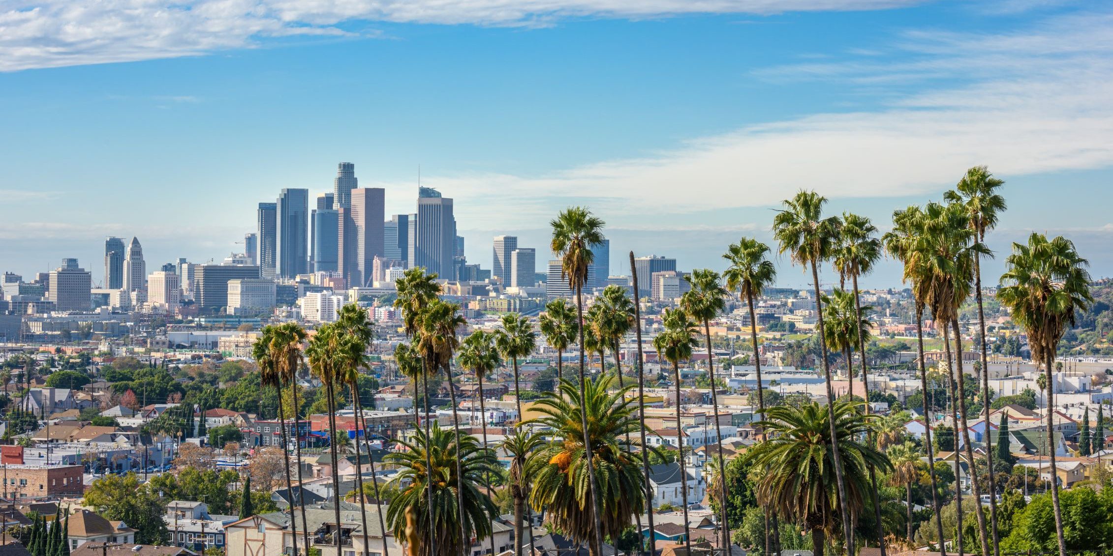 Why Local SEO Is Essential for Small Business Growth in Los Angeles