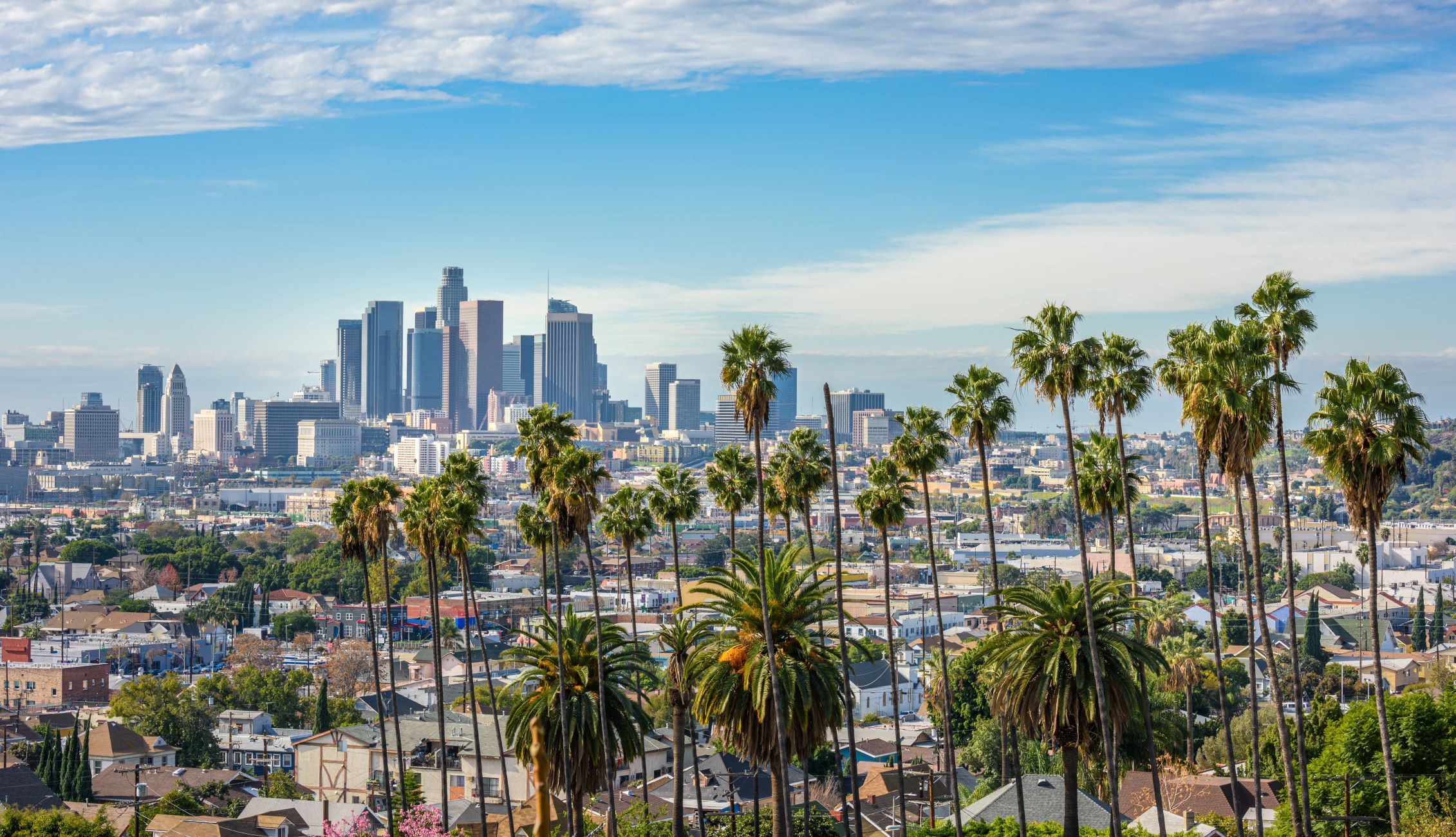 Why Local SEO Is Essential for Small Business Growth in Los Angeles