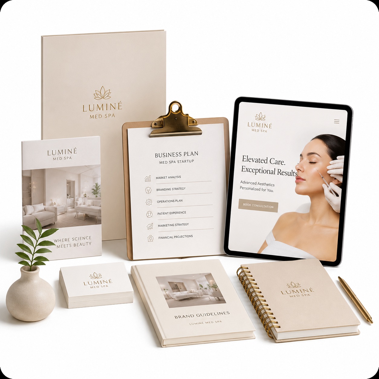 Business Startup Consulting Client 1