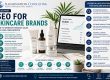 SEO for Skincare Brands: How to Generate Organic Sales