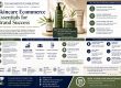 Illumination Consulting | Unveiling Skincare Business Success Image Name Skincare Ecommerce Essentials for Brand Success
